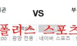 9월26일 K리그2 전남드래곤즈 부산아이파크 분석 먹튀폴리스 0 (0)