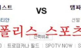 9월21일 MLB 탬파베이 레이스 휴스턴 애스트로스 분석 먹튀폴리스 0 (0)