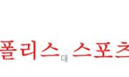 9월27일 국제친선축구 대한민국 카메룬 축구분석 먹튀폴리스 0 (0)