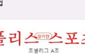 11월26일 FIFA카타르월드컵 네덜란드 에콰도르 축구분석 먹튀폴리스