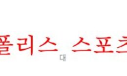 11월12일 호주 A리그 뉴캐슬제츠 멜버른시티 분석 먹튀폴리스 0 (0)