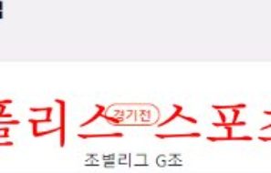 11월24일 FIFA카타르월드컵 스위스 카메룬 축구분석 먹튀폴리스