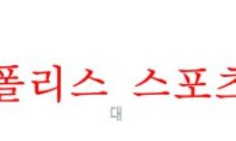 11월12일 호주 A리그 시드니FC 웨스턴시드니 분석 먹튀폴리스 0 (0)
