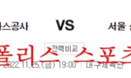 11월25일 KBL 대구 한국가스공사 서울삼성 썬더스 분석 먹튀폴리스 0 (0)