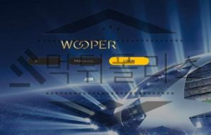 WOOPER 신규사이트 사운드 빵빵하게 틀어 놓고 확실하게 조사 착수중