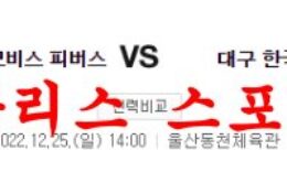 12월25일 KBL 울산현대모비스 피버스 대구한국가스공사 페가수스 분석 먹튀폴리스 0 (0)