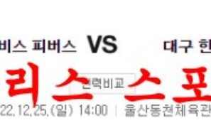 12월25일 KBL 울산현대모비스 피버스 대구한국가스공사 페가수스 분석 먹튀폴리스