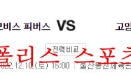12월10일 KBL 울산 현대모비스 피버스 고양 캐롯 점퍼스 분석 먹튀폴리스 0 (0)