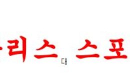12월21일 호주 A리그 센트럴코스트 뉴캐슬제츠 축구분석 먹튀폴리스 0 (0)