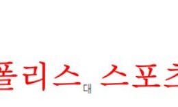 12월17일 호주A리그 센트럴코스트 매리너스FC 시드니FC 축구분석 먹튀폴리스 0 (0)