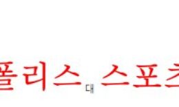 12월17일 호주A리그 웰링턴 피닉스FC 애들레이드 유나이티드 분석 먹튀폴리스 0 (0)