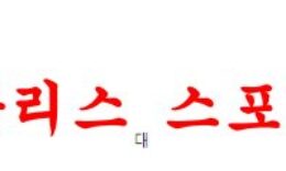 1월13일 호주A리그 맥아서FC 센트럴코스트 매리너스FC 분석 먹튀폴리스 0 (0)