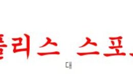 1월21일 호주A리그 브리즈번 로어 FC 멜버른시티 FC 축구분석 먹튀폴리스 0 (0)