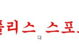 1월21일 호주A리그 웨스턴 유나이티드 FC 시드니 FC 분석 먹튀폴리스 0 (0)
