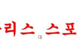 1월2일 호주A리그 웰링턴 피닉스FC 멜버른시티FC 해축분석 먹튀폴리스 0 (0)