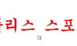 1월28일 호주A리그 웰링턴 피닉스 FC 퍼스글로리 FC 축구분석 먹튀폴리스 0 (0)