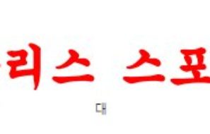 2월18일 호주A리그 시드니 FC 브리즈번 로어 FC 해외축구 프리뷰 먹튀폴리스