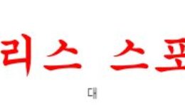 2월11일 호주A리그 웨스턴 유나이티드FC 애들레이드 유나이티드FC 분석 먹튀폴리스 0 (0)