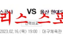 2월16일 KBL 대구 한국가스공사 페가수스 울산 현대모비스 국내농구 분석 0 (0)