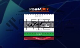 PINNABET 신규사이트 도저히 용납할 수 없는 행동을 하는지 검별 중 5 (1)