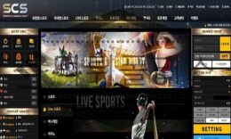 SCS 신규사이트  애니 캐릭터를 보며 약탈을 해 피해를 주지는 않을지 주시 중 0 (0)
