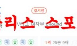 3월15일 V리그 IBK기업은행 알토스 흥국생명 핑크스파이더스 분석 먹튀폴리스 0 (0)
