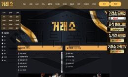 거래소 신규사이트 활발하게 운영하려는 절실한 운영진의 마음가짐을 확인 중 0 (0)