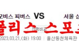 3월21일 KBL 울산 모비스 피버스 서울 삼성 썬더스 국내농구 분석 먹튀폴리스 0 (0)