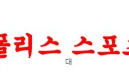 3월18일 호주A리그 시드니 FC 웨스턴 시드니 원더러스 FC 분석 먹튀폴리스 0 (0)