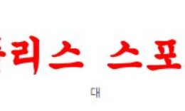 3월3일 호주A리그 애들레이드 유나이티드FC 멜버른시티FC 분석 먹튀폴리스 0 (0)