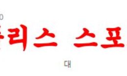 3월4일 호주A리그 웰링턴 피닉스 FC 뉴캐슬 유나이티드 제츠 FC 분석 먹튀폴리스 0 (0)