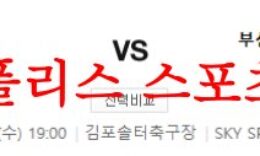 4월19일 K리그2 김포FC 부산 아이파크 국내축구 스페셜 분석 먹튀폴리스 0 (0)