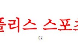 4월29일 호주A리그 맥아서FC 웰링턴 피닉스FC 해외축구 전공 분석 먹튀폴리스 0 (0)