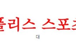 4월29일 호주A리그 멜버른빅토리FC 브리즈번 로어FC 해축분석 먹튀폴리스 0 (0)