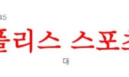 4월28일 호주A리그 멜버른시티FC 웨스턴시드니 원더러스FC 축구분석 먹튀폴리스 0 (0)