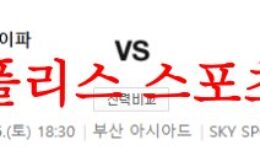 4월15일 K리그2 부산 아이파크 경남 FC 감독 및 라인업 분석 먹튀폴리스 0 (0)