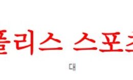 4월24일 호주A리그 브리즈번 로어FC 시드니FC 호주 축구분석 먹튀폴리스 0 (0)