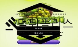 샤인머스켓 먹튀사이트 추가 입금 유도의 범죄는 일상이라 말하는 악질 검거 0 (0)