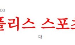 4월15일 호주A리그 센트럴코스트 매리너스FC 멜버른시티FC 분석 먹튀폴리스 0 (0)