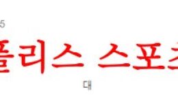 4월28일 호주A리그 애들레이드 유나이티드FC 센트럴코스트 매리너스FC 분석 먹튀폴리스 0 (0)