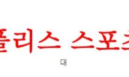 4월29일 호주A리그 퍼스글로리FC 웨스턴 유나이티드FC 축구분석 먹튀폴리스 0 (0)
