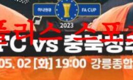 5월2일 하나원큐FA컵 강원FC 충북청주FC 국내 프로축구 분석 먹튀폴리스 0 (0)
