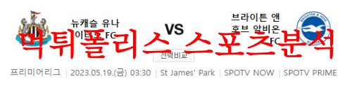 뉴캐슬브라이튼