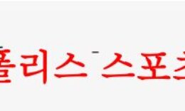 5월24일 하나원큐 FA컵 서울이랜드FC 광주FC 국내축구 상대분석 먹튀폴리스 0 (0)