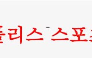 5월24일 하나원큐 FA컵 서울이랜드FC 광주FC 국내축구 상대분석 먹튀폴리스