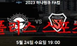 5월24일 하나원큐 FA컵 성남FC 포항스틸러스 국축 예상 프리뷰 먹튀폴리스 0 (0)