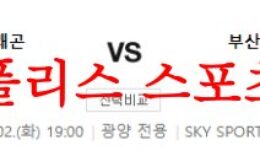 5월2일 K리그2 전남 드래곤즈 부산 아이파크 국내축구 프리뷰 먹튀폴리스 0 (0)