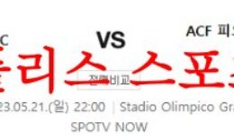 5월21일 세리에A 토리노FC ACF피오렌티나 경기상황 예상 먹튀폴리스 0 (0)