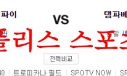 5월4일 MLB 탬파베이 레이스 피츠버그 파이리츠 해외야구분석 먹튀폴리스 0 (0)