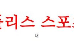 6월13일 피파A매치 독일 우크라이나 국제친선축구 라인업 및 분석 먹튀폴리스 0 (0)